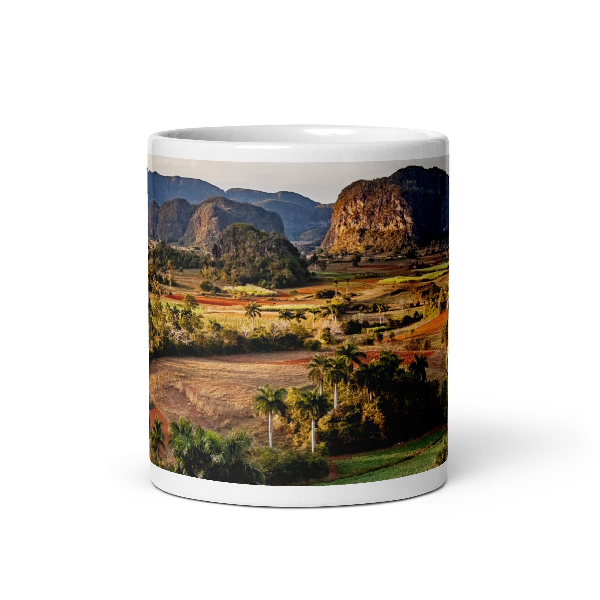 The Valley White glossy mug