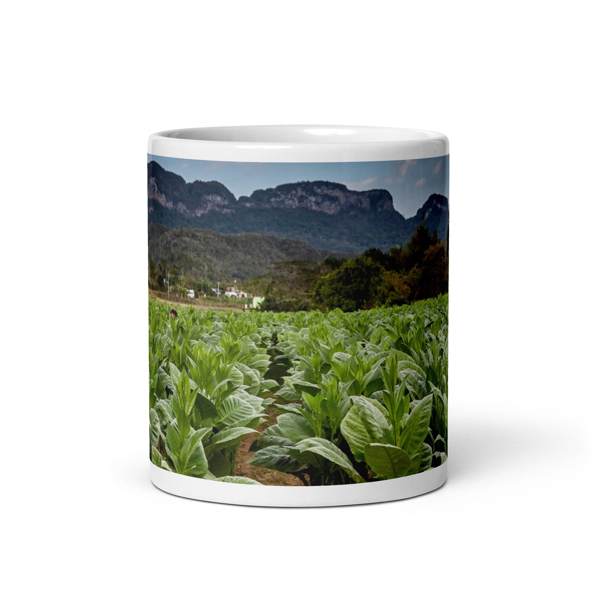 The Crop. White glossy mug