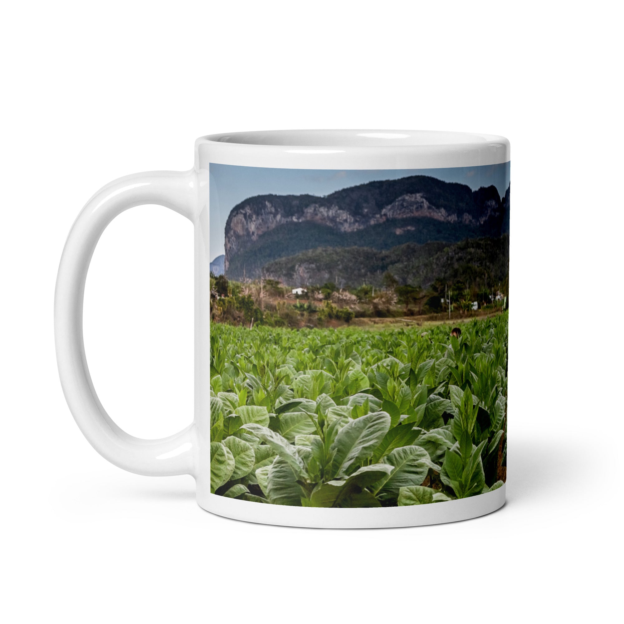 The Crop. White glossy mug