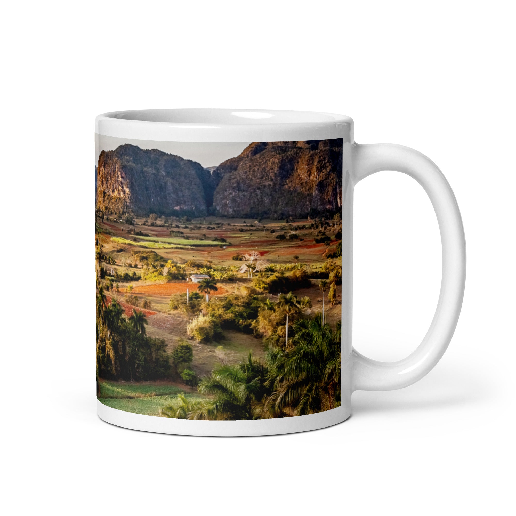 The Valley White glossy mug