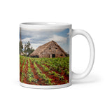 The House. White glossy mug