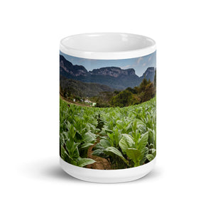 The Crop. White glossy mug