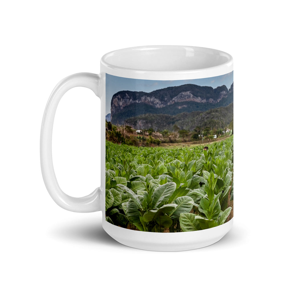 The Crop. White glossy mug