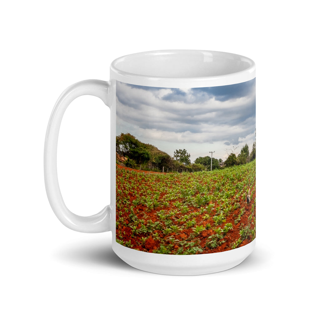 The House. White glossy mug