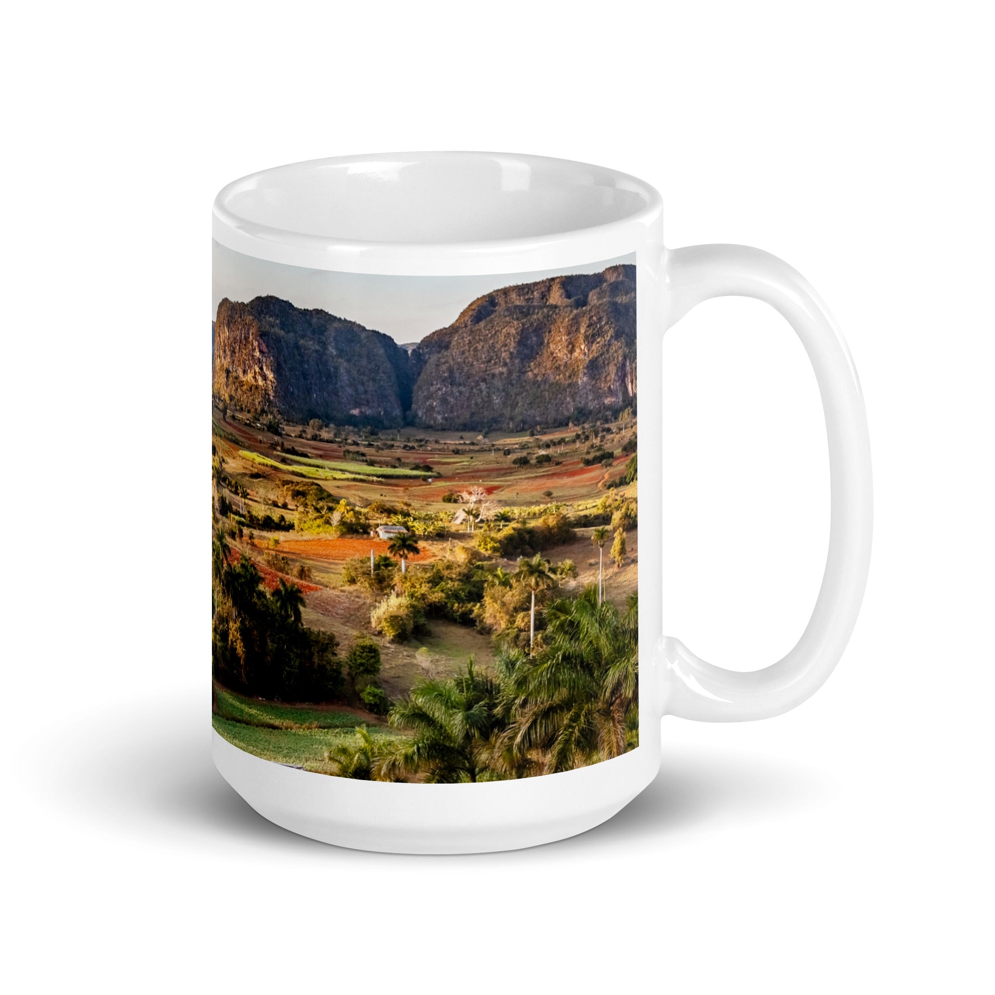 The Valley White glossy mug