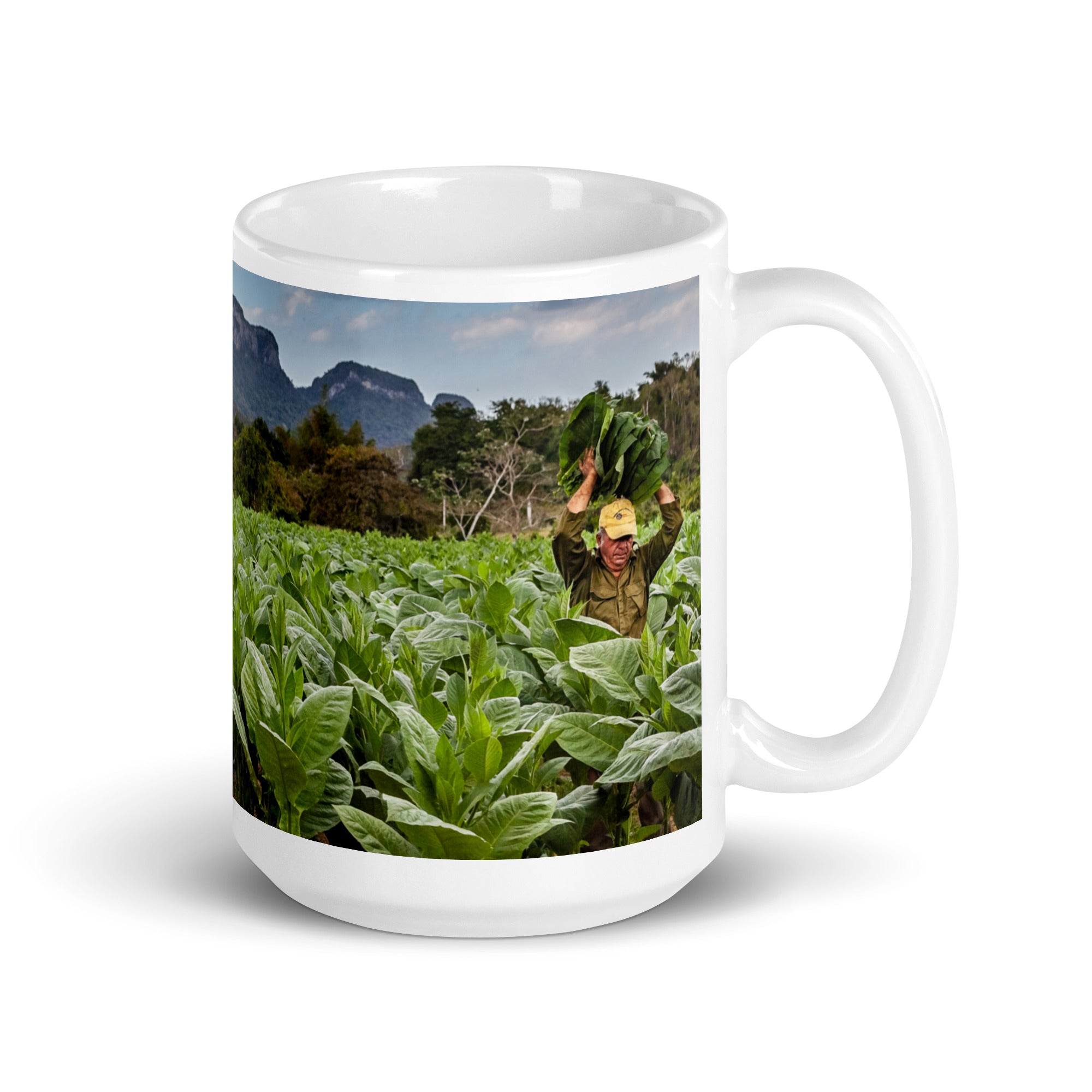 The Crop. White glossy mug