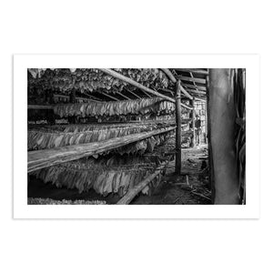 Fine Art Photography. Black & White Print. Interior