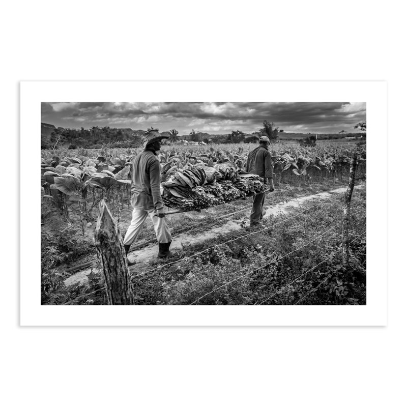 Fine Art Photography. Black & White Print. Selected