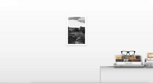 Fine Art Photography. Black & White Print. Sprouts