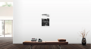 Fine Art Photography. Black & White Print. Sprouts