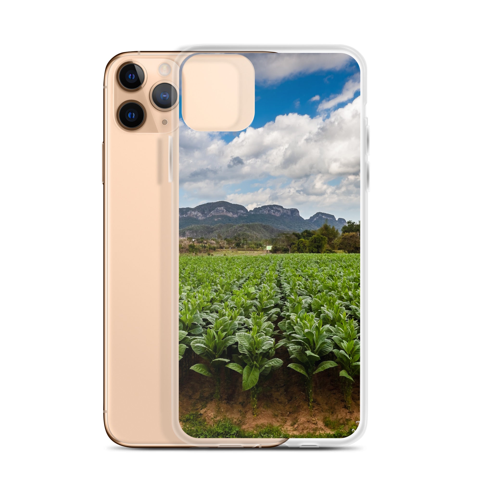 The Field, Clear Case for iPhone®