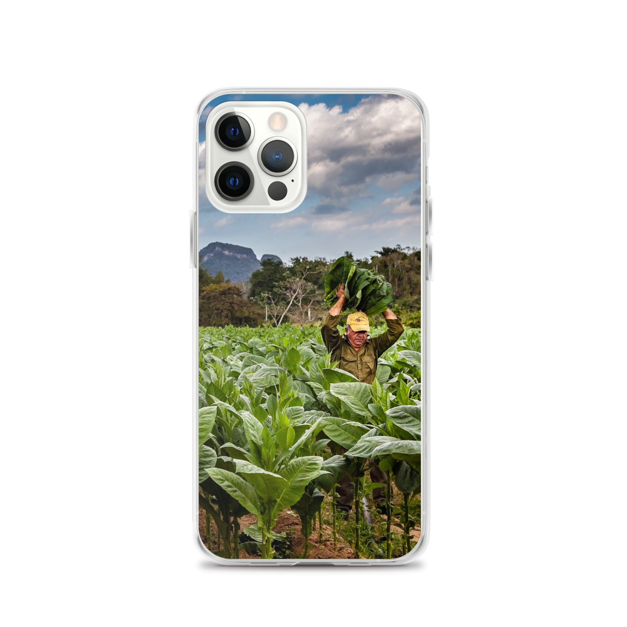 The Crop, Clear Case for iPhone®