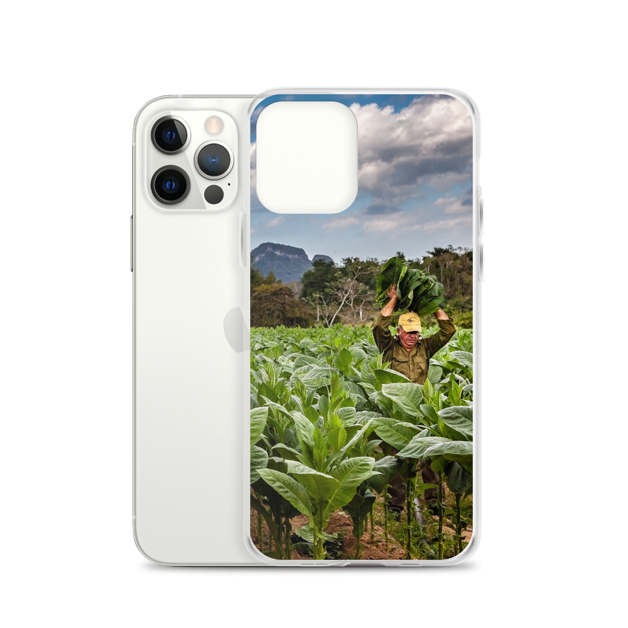 The Crop, Clear Case for iPhone®