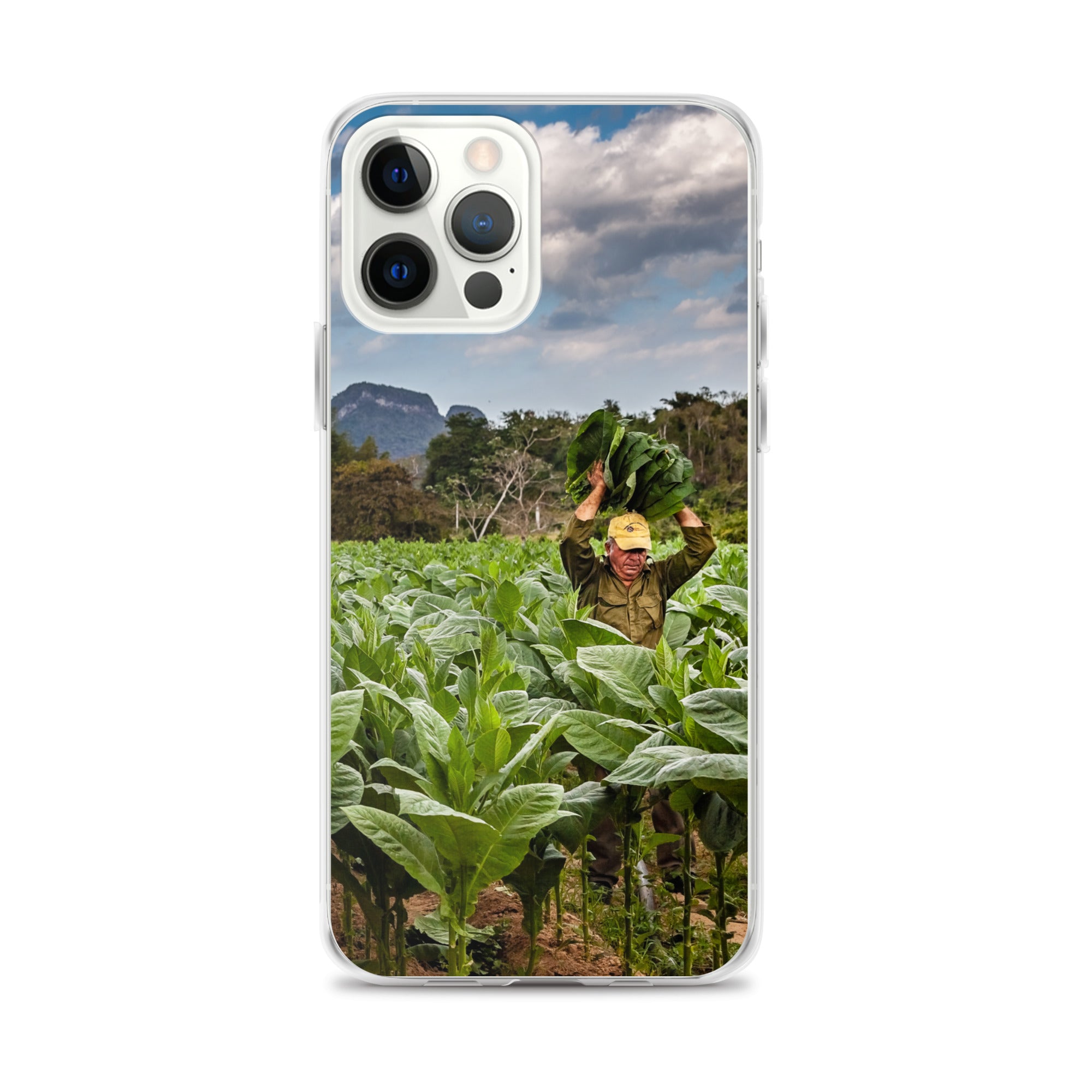 The Crop, Clear Case for iPhone®