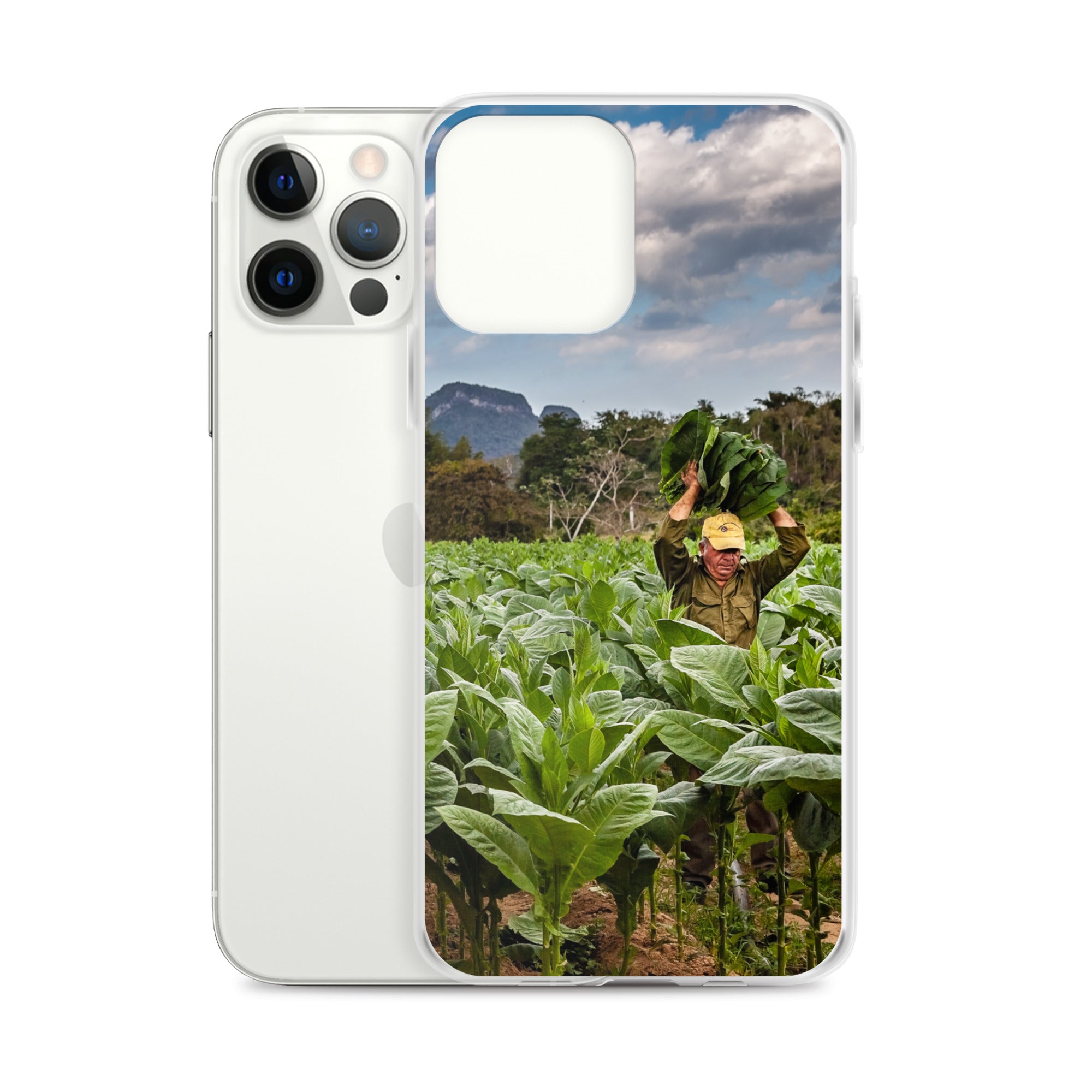 The Crop, Clear Case for iPhone®