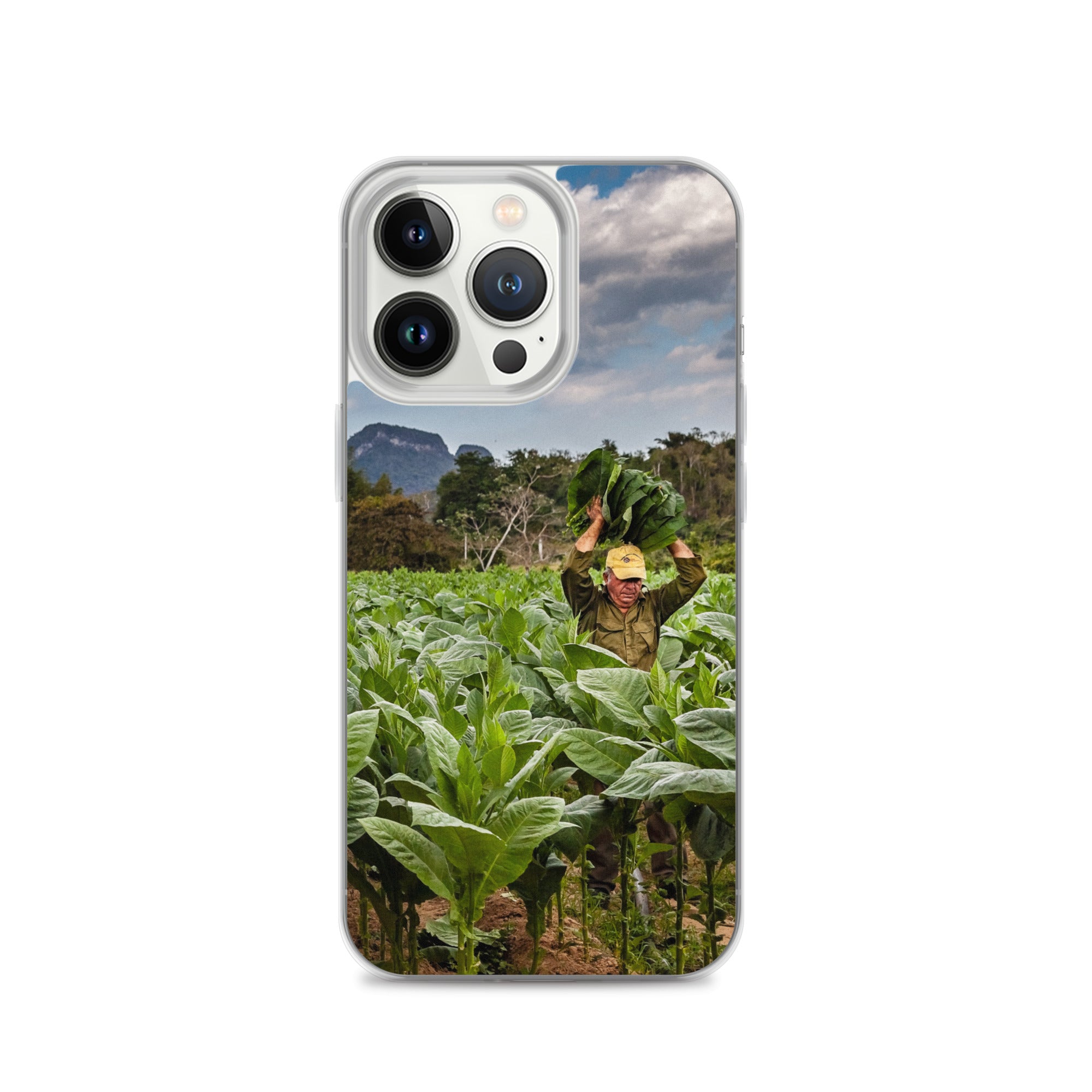 The Crop, Clear Case for iPhone®