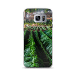 Samsung Case. Drying
